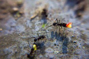 scientific discovery