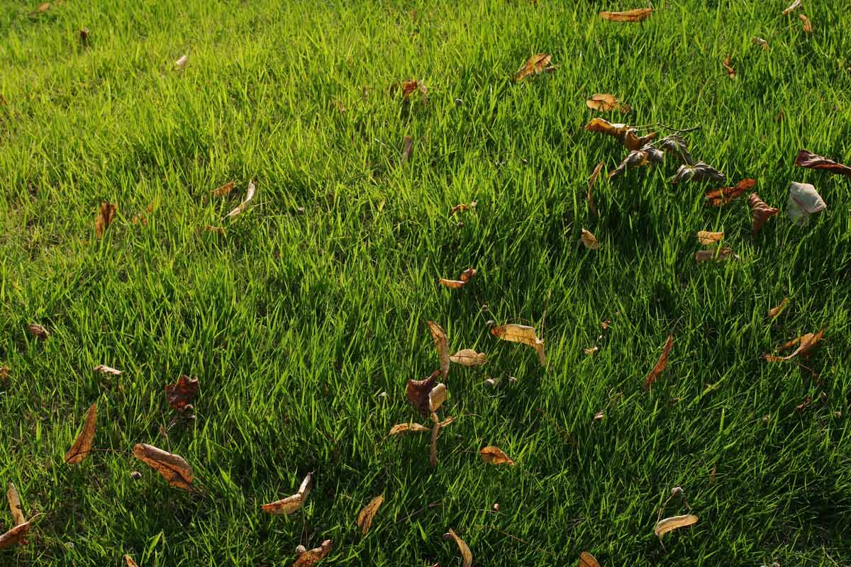 landscaping equipment