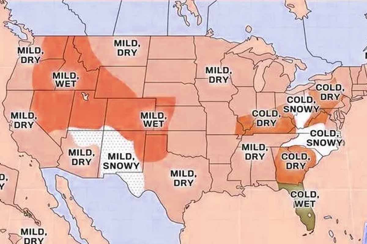 weather